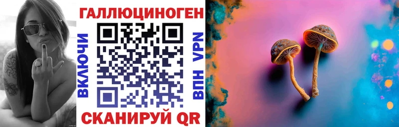 Галлюциногенные грибы Psilocybe  Асино 