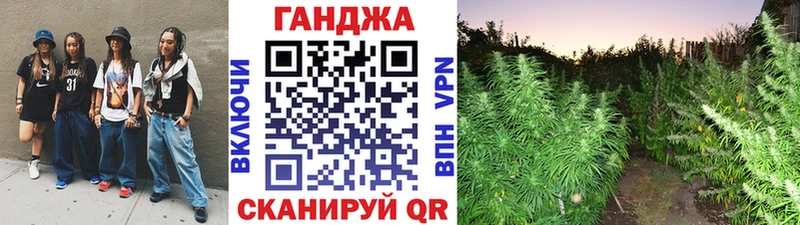 Шишки марихуана марихуана  Асино 